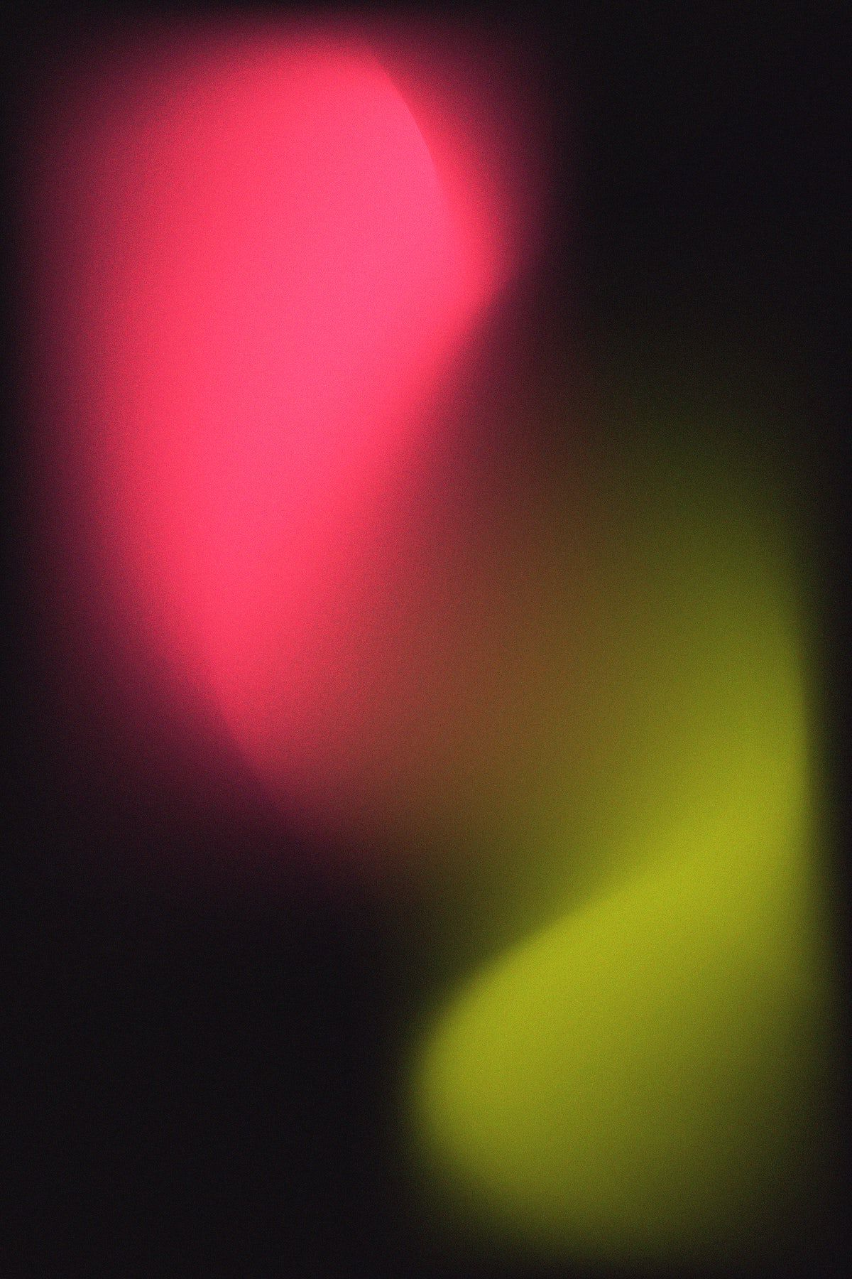 Grain bloom, Night original gradient