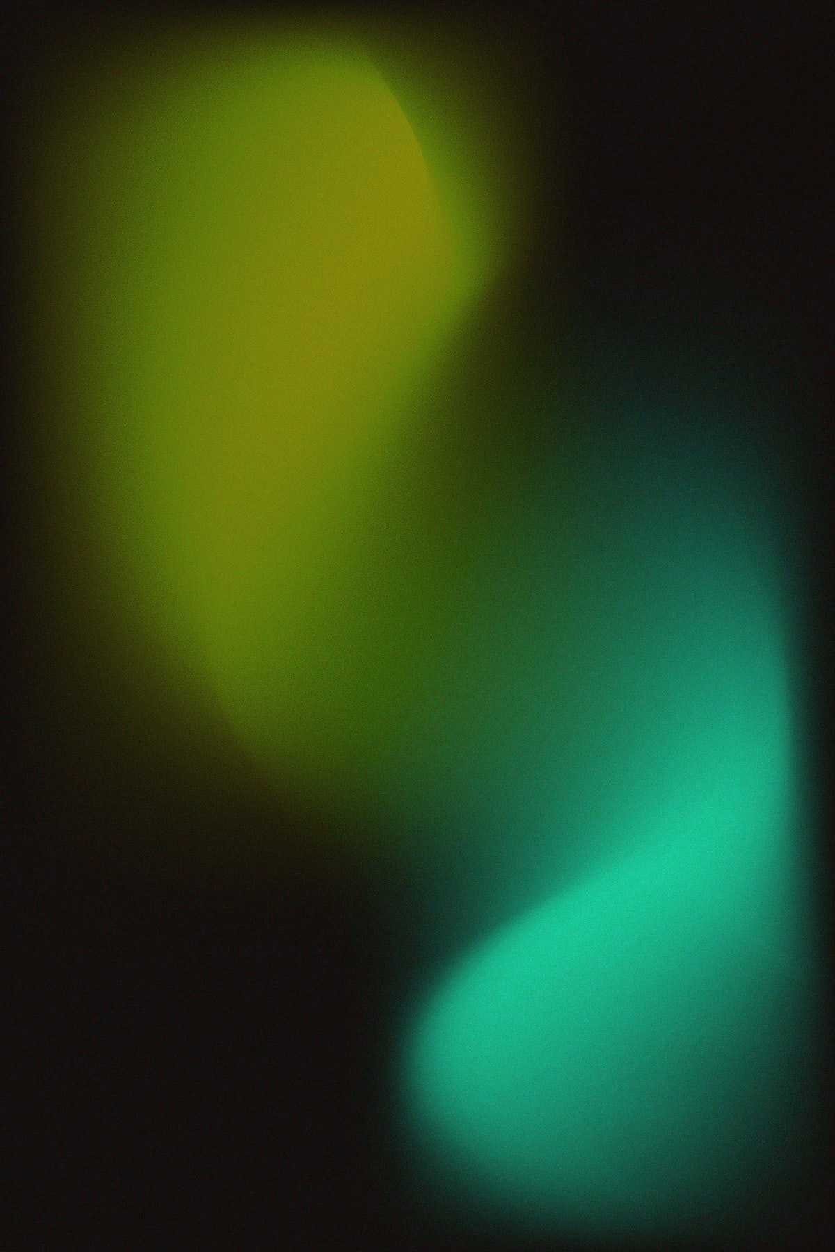 Grain bloom, Night coral gradient