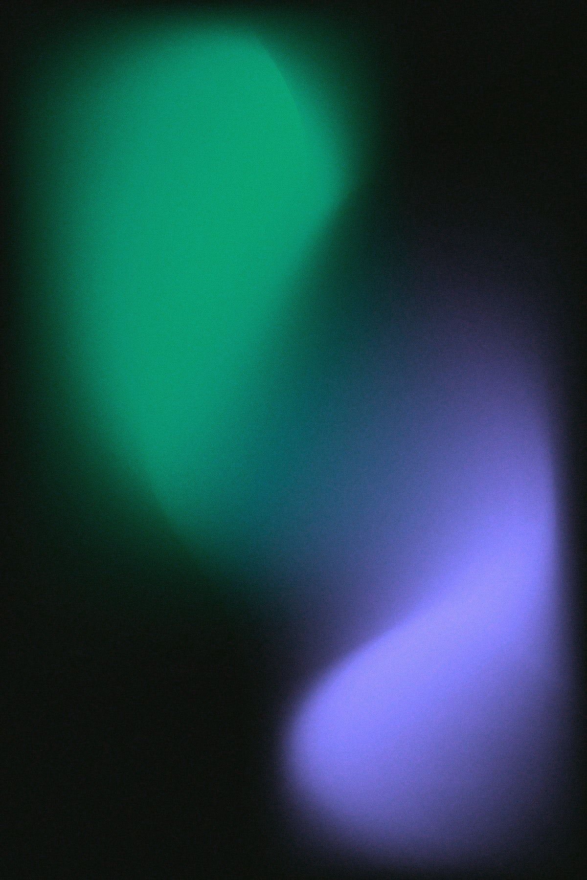 Grain bloom, Night jade gradient