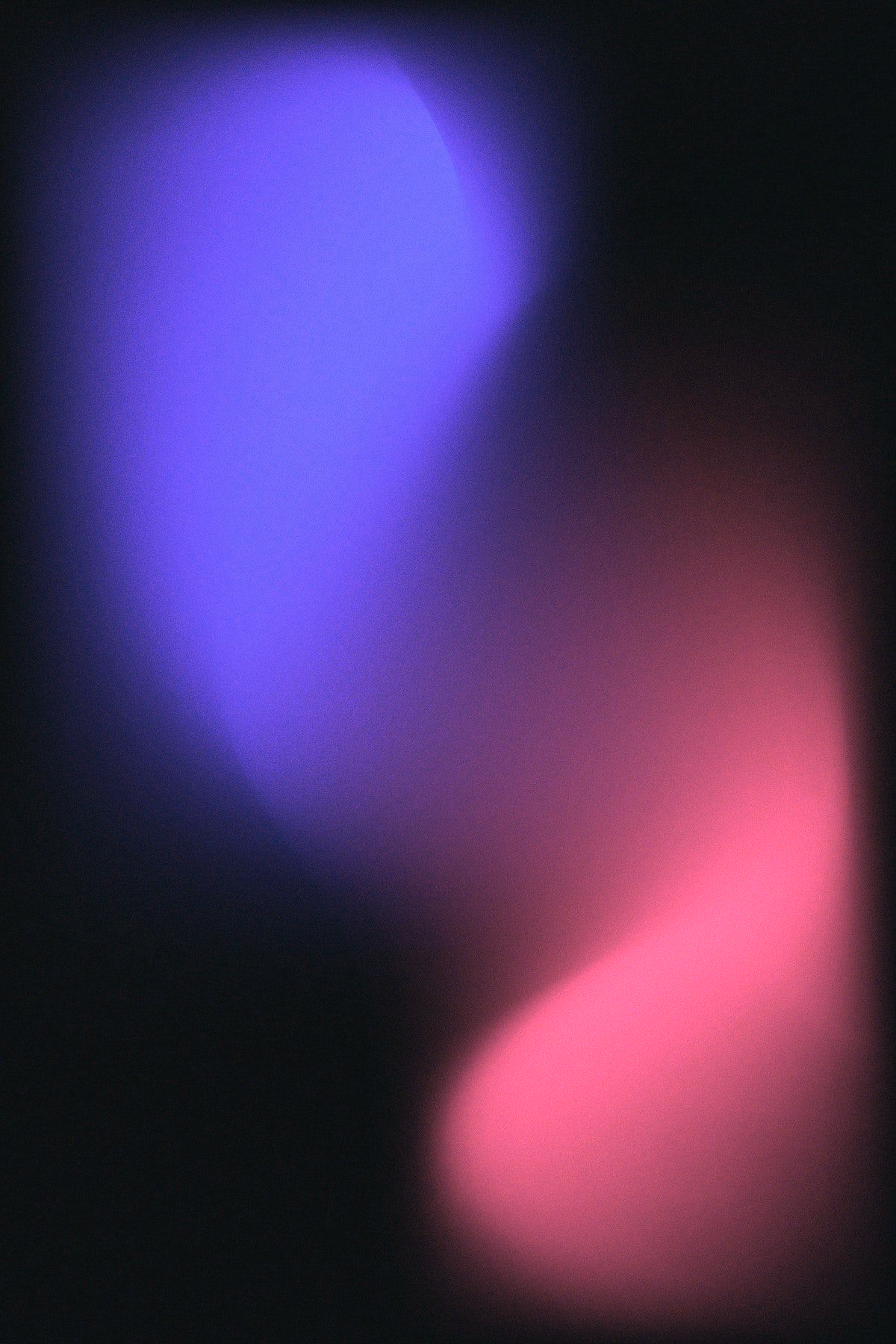 Grain bloom, Night indigo gradient