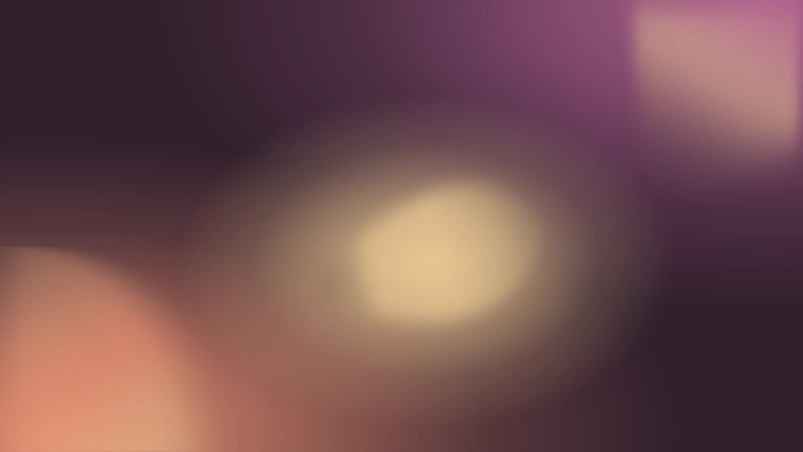 Tulip afterhours, Ember petals gradient