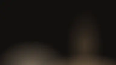 Aurora curtain, Champagne noir colour palette