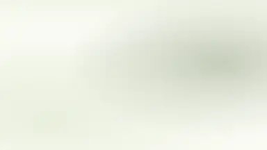 Earth & organic gradient preview