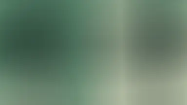 Duotone fan 05, Jade dusk colour palette
