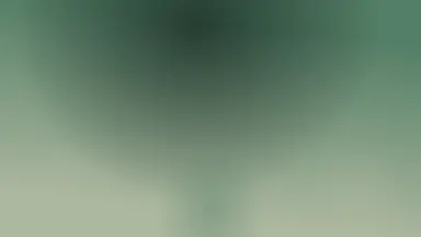 Duotone lattice 02, Jade dusk colour palette