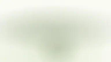 Earth arc 08, Jade linen colour palette