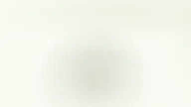Earth field 02, Jade linen colour palette