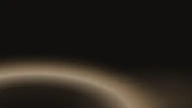 Halo farewell, Champagne noir colour palette