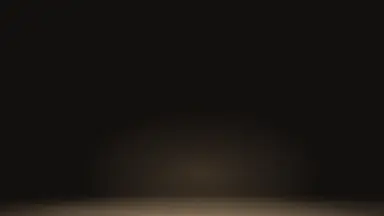 Luminous arrival, Champagne noir colour palette
