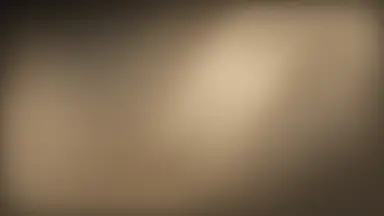 Luminous vault, Champagne noir colour palette