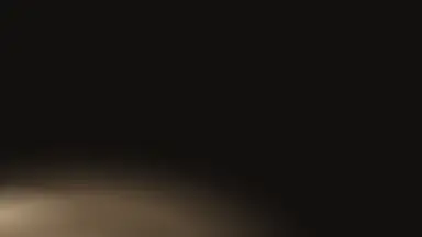 Pearl endnote, Champagne noir colour palette