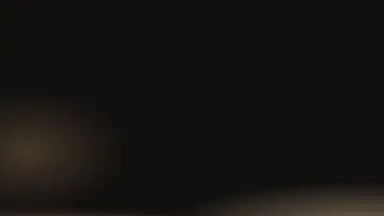 Silver duskline, Champagne noir colour palette