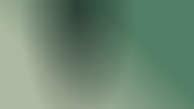 Soft divide, Jade dusk colour palette