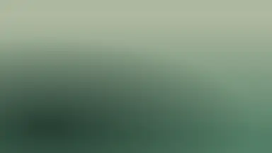 Duotone gradient preview